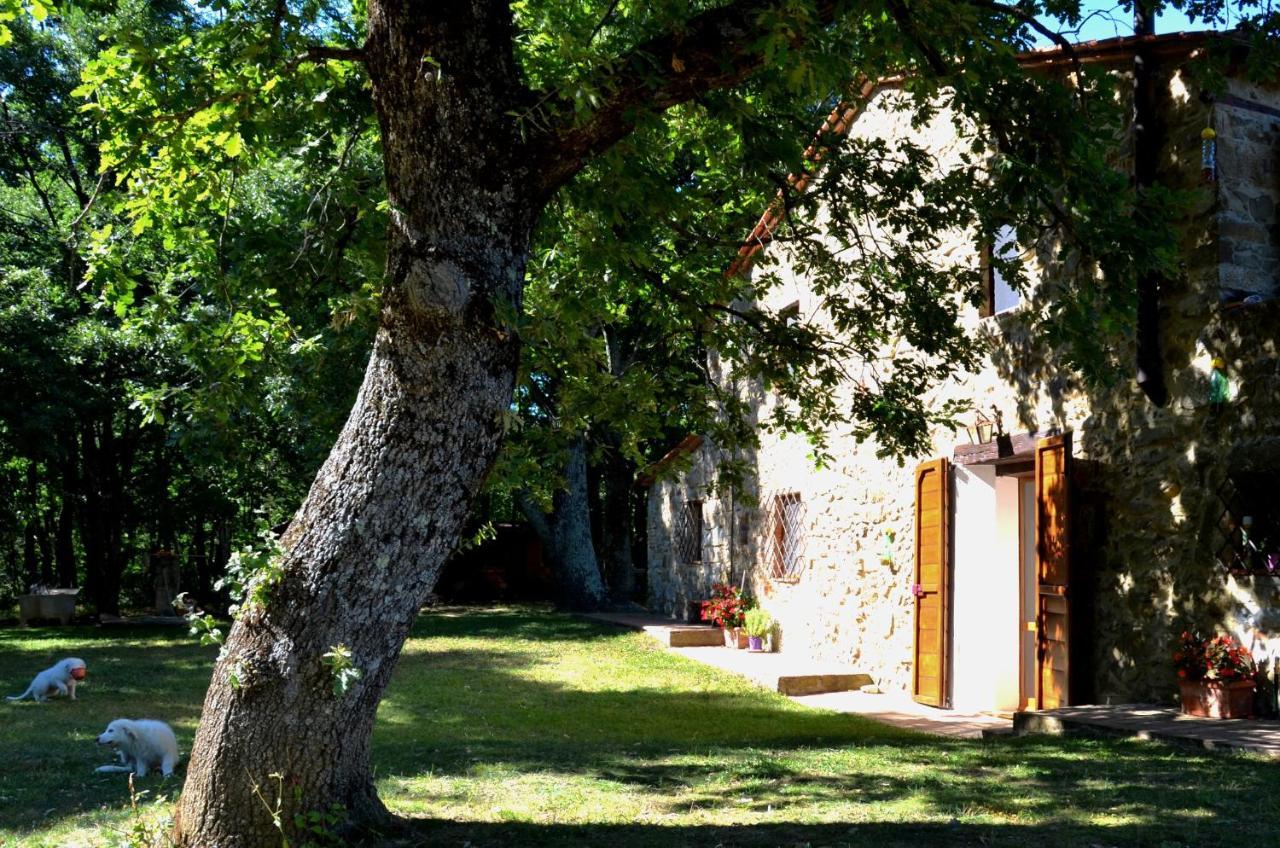 马萨马里蒂马Il Venaio住宿加早餐旅馆 外观 照片