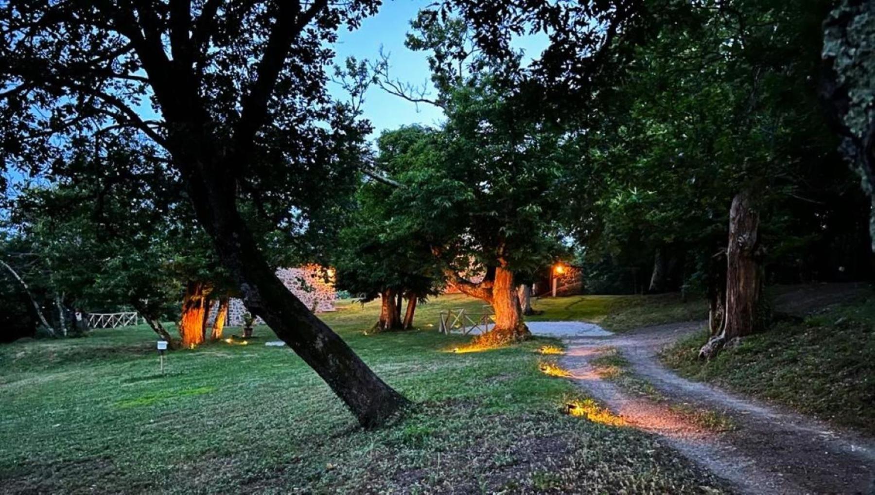 马萨马里蒂马Il Venaio住宿加早餐旅馆 外观 照片