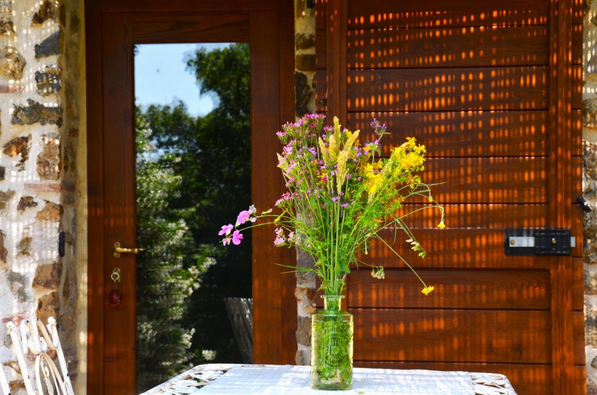 马萨马里蒂马Il Venaio住宿加早餐旅馆 外观 照片